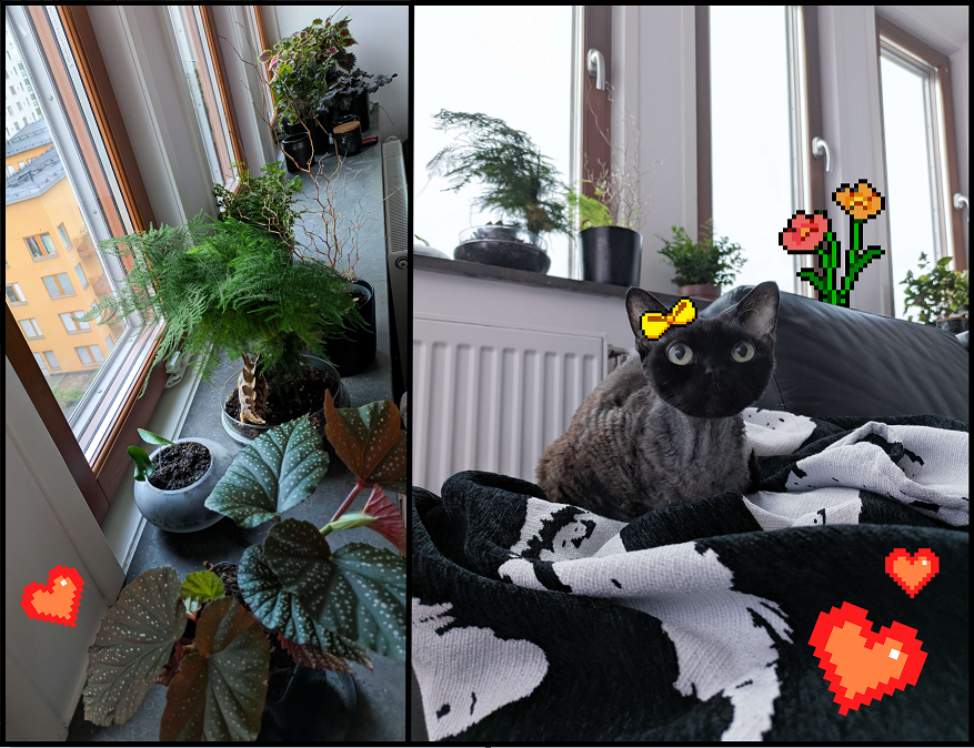 Bilder från Atlantikas liv utanför Rävlyan